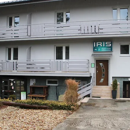 Iris Penzion